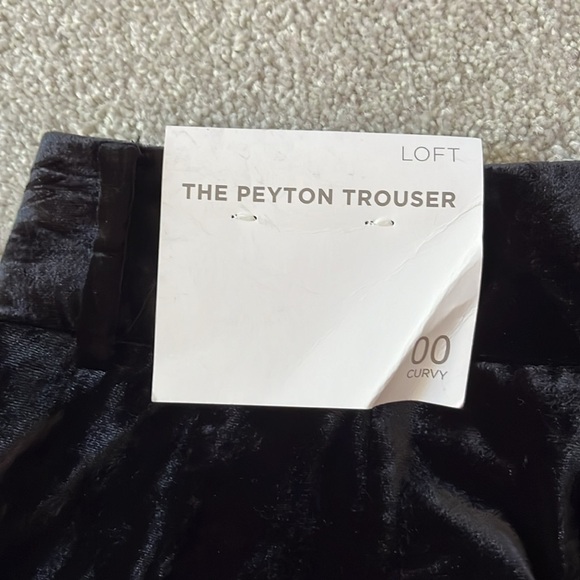LOFT Curvy Peyton Trouser in Velvet - Picture 9 of 10
